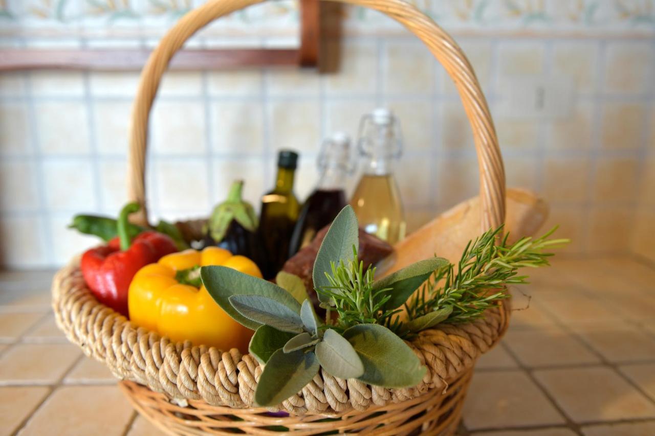 Natouroasi Agriturismo Guest House Monte San Savino Ngoại thất bức ảnh