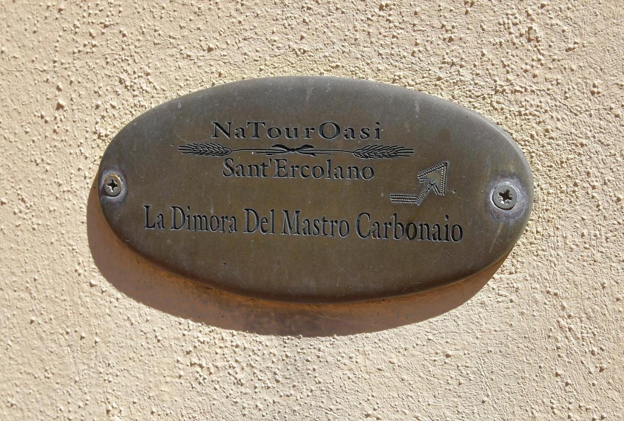 Natouroasi Agriturismo Guest House Monte San Savino Ngoại thất bức ảnh